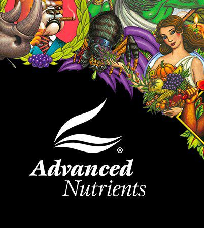 advanced nutrients b52 500ml