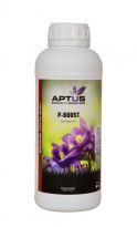 Aptus P Boost - 500 ml Aptus P Boost - 500 ml