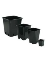 Potten vierkant 3.5 ltr 15x15x20 cm